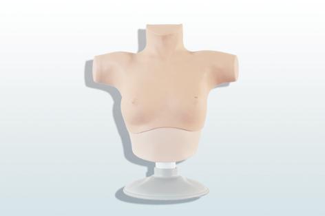 乳腺癌觸診、視診訓(xùn)練模型